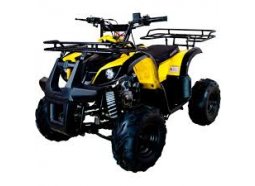 Аккумуляторы  для квадроциклов